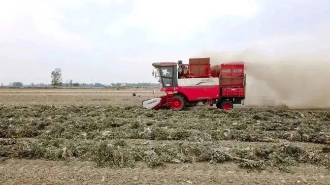 南陽(yáng)王世祥:在外打工真不如回家買臺(tái)中聯(lián)收獲花生機(jī) 1719553499633611.png